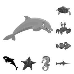 Isolated object of sea and animal logo. Collection of sea and marine stock vector illustration.