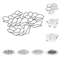 Vector illustration of pasta and carbohydrate logo. Collection of pasta and macaroni stock symbol for web.
