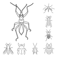 Fototapeta na wymiar Vector design of insect and fly icon. Set of insect and element vector icon for stock.