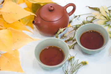 Tea ceremony in autumn foliage