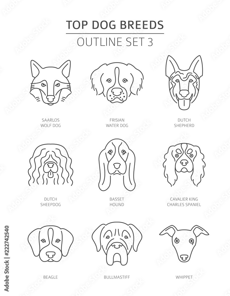 Wall mural top dog breeds. pet outline collection. vector illustration