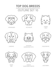 Top dog breeds. Pet outline collection. Vector illustration