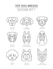 Top dog breeds. Pet outline collection. Vector illustration - obrazy, fototapety, plakaty