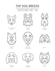 Top dog breeds. Pet outline collection. Vector illustration