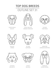 Top dog breeds. Pet outline collection. Vector illustration
