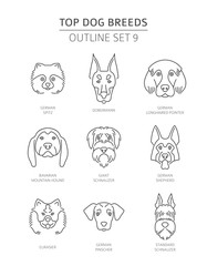 Top dog breeds. Pet outline collection. Vector illustration