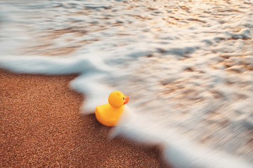 Fototapeta na wymiar Yellow rubber duck toy floating in water. Sunrise on the beach.