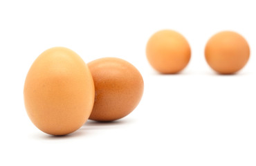 closeup  egg isolated on a white background .