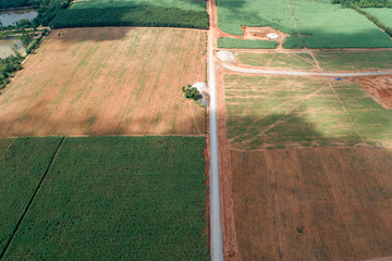 Aerial view shoot from drone abstract geometric shapes of agricultural parcels of different crops in yellow and green colors.