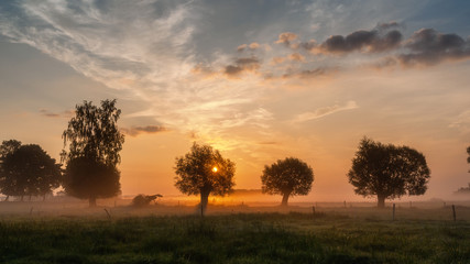 Fototapeta na wymiar Poranne mgły nad łąkami