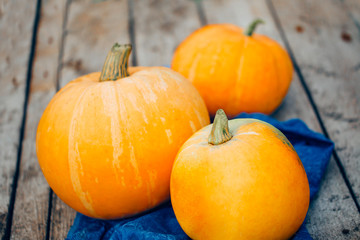 Close-up of three large orange pumpkins on a vintage wooden background. Autumn, Halloween concepts