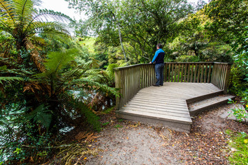 Viewing Platform Kaituna River - Rotorua 