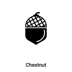 Chestnut icon vector isolated on white background, logo concept of Chestnut sign on transparent background, black filled symbol