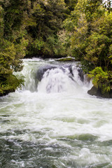 Waterfall - Kaituna 