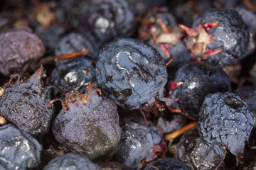 Amelancher ripe berries as a background