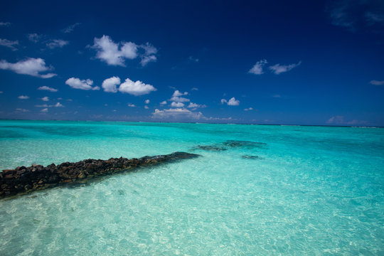 Maldivian Blue