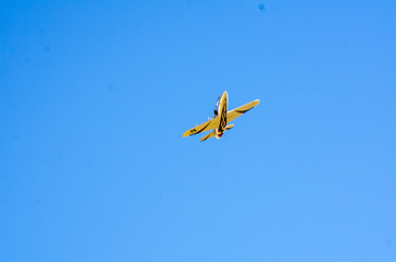 the 2018 air race's fun 