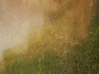 cement,concrete wall background,moss on the stone floor