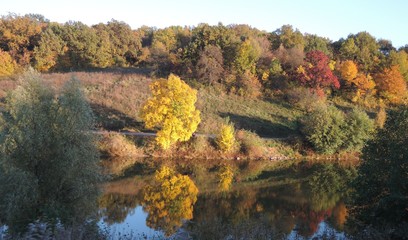 autumn, trees and a lake