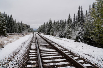 Fototapeta premium Snowy landscape - Canada