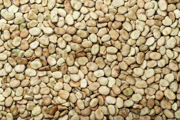 The broad beans background