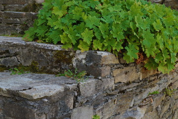 Old houses in the historical cultural reserve village of Dolen, Bulgaria. Dolen is famous with its 350 old houses – an example of 19th century Rhodopean architecture.