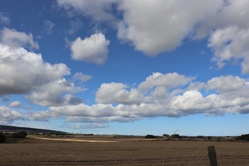 Fototapeta na wymiar Fluffy white clouds in blue sky over fields