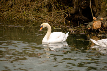 Wahnen See