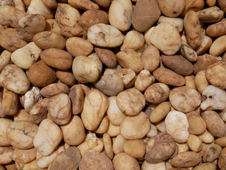 background of stones in garden