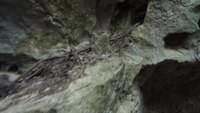 Blick über Felswand mit Wurzeln