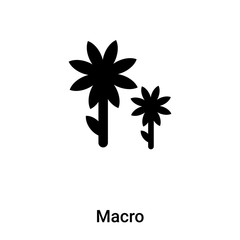 Macro icon vector isolated on white background, logo concept of Macro sign on transparent background, black filled symbol