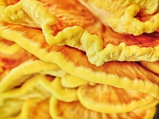 Polonne / Ukraine - 10 September 2018: Yellow fungus on a tree on a sunny day