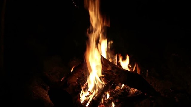 Bonfire at night, close up, nature background
