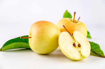 erntezeit