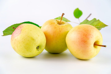 erntezeit