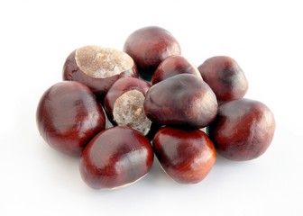 ripe fruits of chestnut tree close up