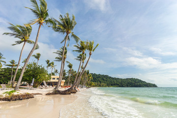 Tropical palm trees on beautiful Bai Sao beach in Vietnam on Phu Quoc island