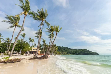 Crédence de cuisine en plexiglas Plage tropicale Tropical palm trees on beautiful Bai Sao beach in Vietnam on Phu Quoc island
