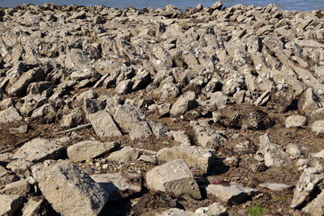 Plage de pierre et de coquillages 
