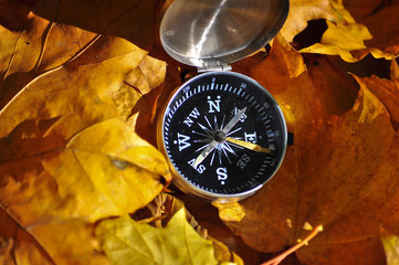 Compass on autumn leaves.