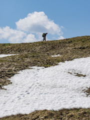 Wanderer am Anstieg zum Gipfel des Blombergs mit Schneefeld und Wiese, Tölzer Land, Bayern