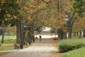 Jesienny park, starodrzew, drzewa z pieknymi kolorowymi liśćmi, szeroką parkową aleją jedzie rowerzysta © Wioletta