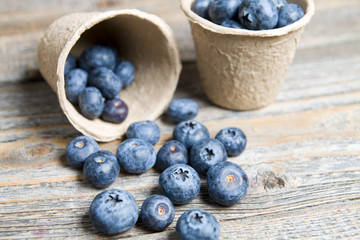 Delicious blueberries on wood