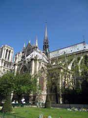 Obraz premium notre dame de paris,
