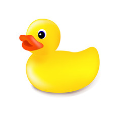 Rubber Duck Isolated