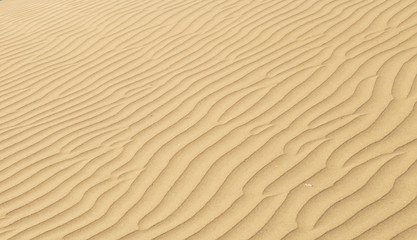 Fototapeta na wymiar Ripples in the desert sand, hot and dry