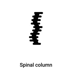 Spinal column icon vector isolated on white background, logo concept of Spinal column sign on transparent background, black filled symbol