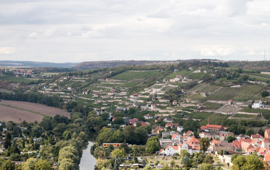 Obraz premium Weinanbaugebiet Saale-Unstrut