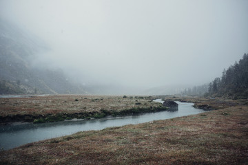 foggy Mount Altai