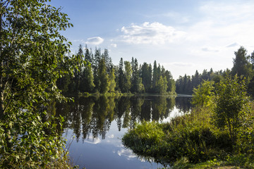 Forest on the shore of the lake. Trees are reflected in the water under the sun. A background for the site about nature, seasons, plants, art,weather.